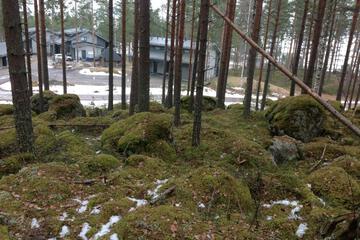 Photo 50