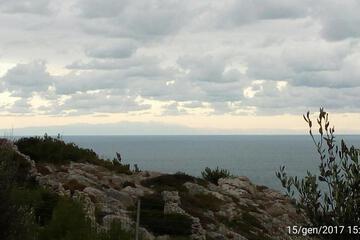 Photo 36