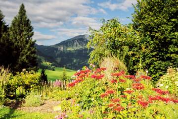Land view from property