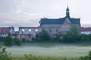 Photo 49