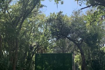 Wedding/Banquet 39 of 46