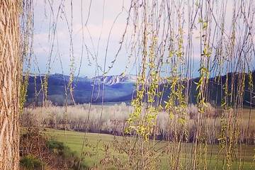 Land view from property