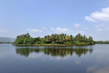 Photo 24