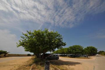Photo 46