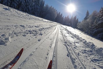 Skiing