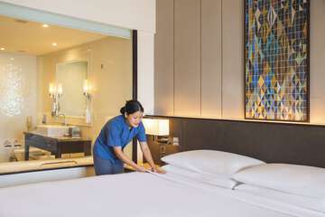 Cleanliness standards