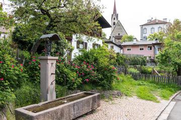 Photo 46