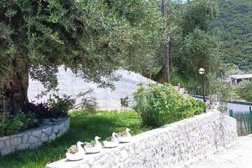 Photo 33