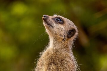 Point of interest