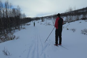 Skiing