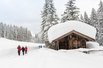 Snowshoeing