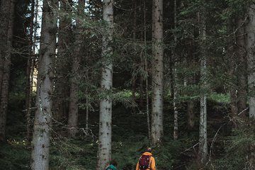 Hiking