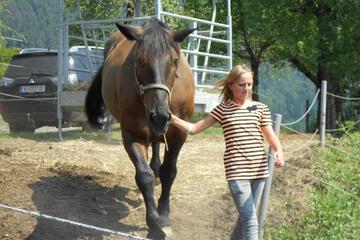 Photo 35