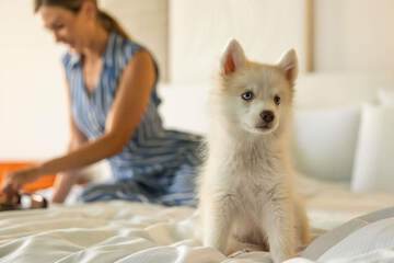 Pet-friendly