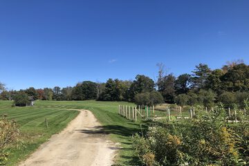 Land view from property