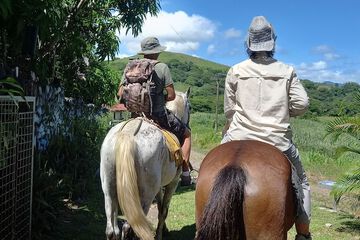 Horseback riding