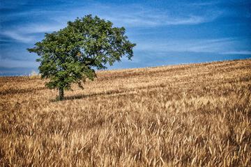 Land view from property