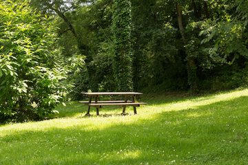 BBQ/picnic area