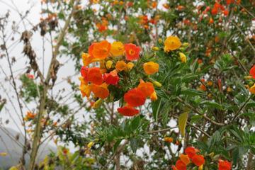 Photo 44