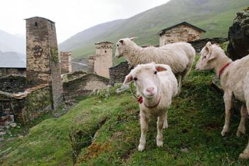 Photo 40