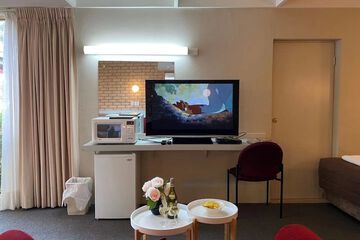Television