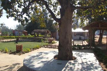 Photo 5