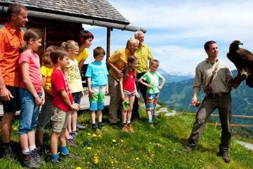 Children's activities