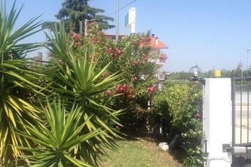 Photo 39