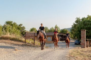 Horseback riding