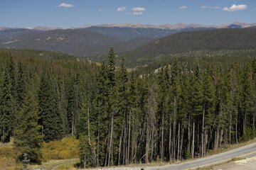 Mountain view