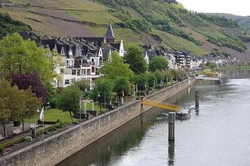 Photo 41