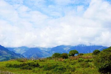 Ecotours