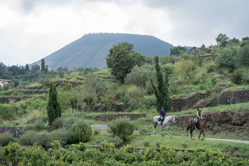 Horseback riding