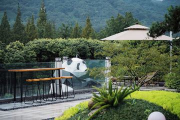 Garden view