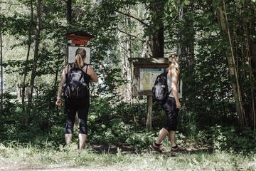 Hiking