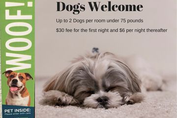 Pet Friendly 34 of 34