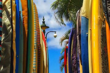 Surfing/boogie boarding