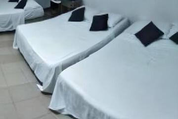 Photo 44