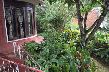 Photo 48