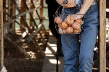 Children's activities