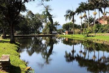 Lake view