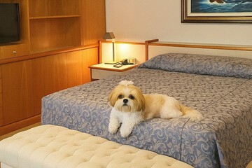 Pet-friendly amenities