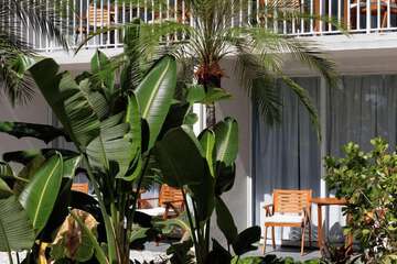 Garden view