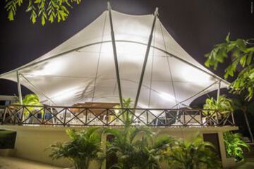 Terrace or Patio