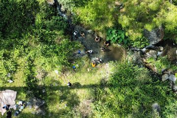BBQ/picnic area