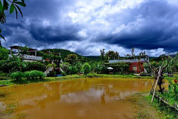 Lake