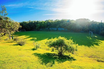 Sport court