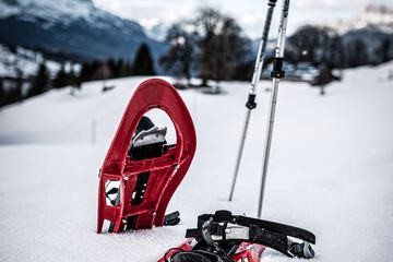 Skiing