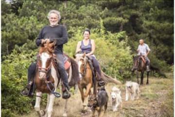 Horseback riding