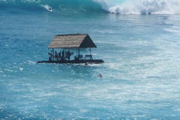 Surfing/boogie boarding
